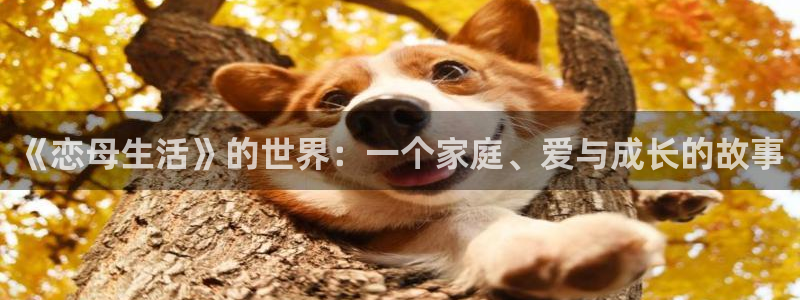 耽漫网值得收藏的书下拉式：《恋母生活》的世界：一个家庭、爱与成长的故事