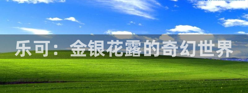耽漫网最新小说推荐：乐可：金银花露的奇幻世界