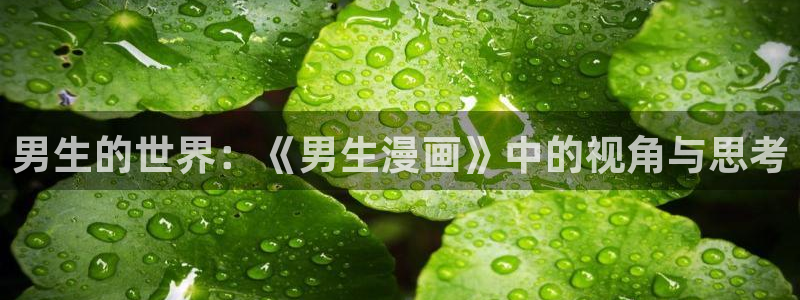 耽漫网之家动漫之家改名叫什么：男生的世界：《男生漫画》中的视角与思考